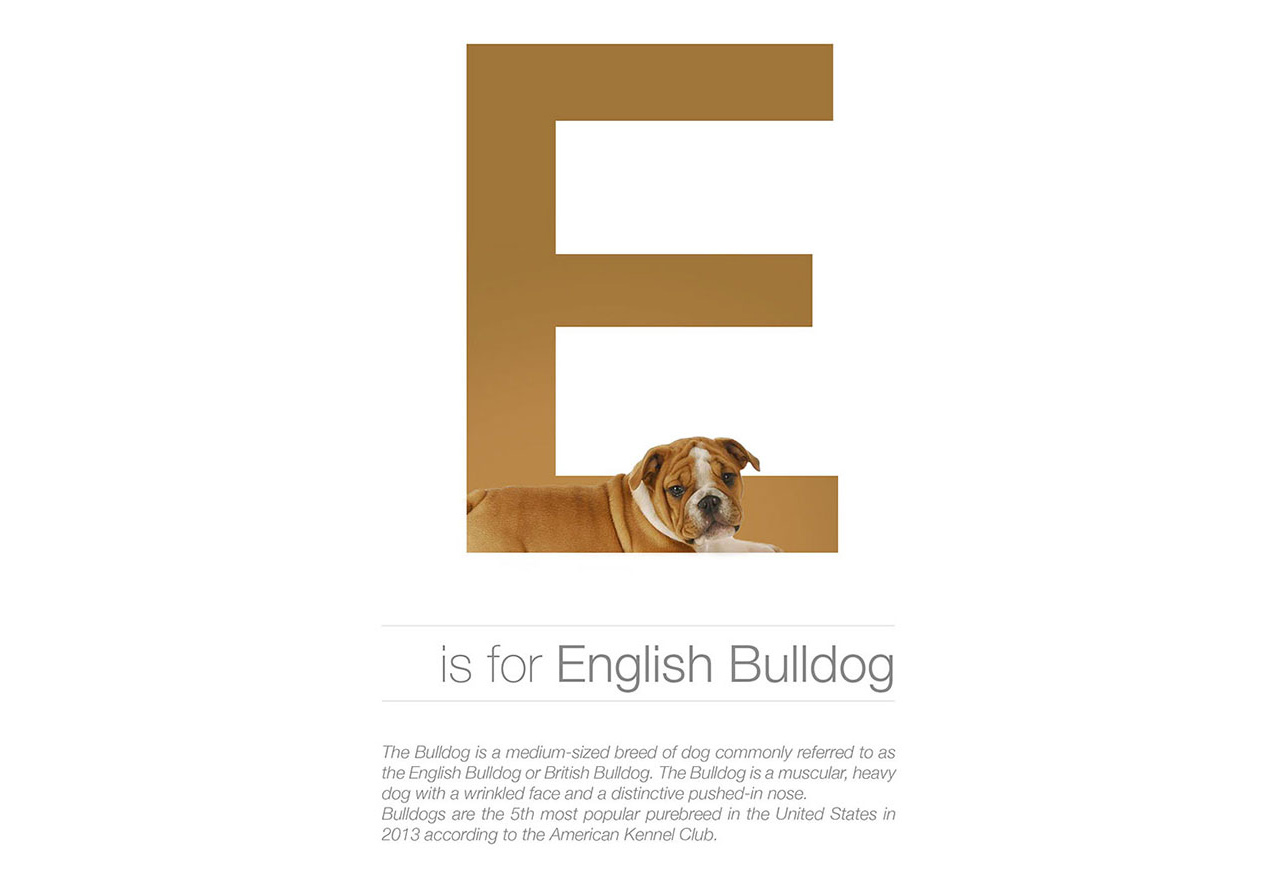Dog Alphabet, az állati ABC